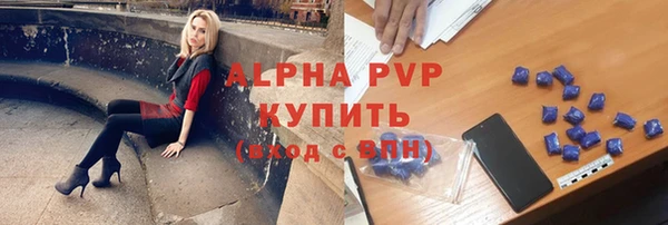 стафф Алексин