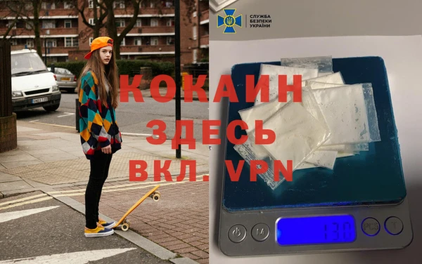 стафф Алексин