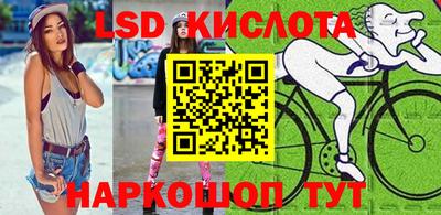 шишки Вышний Волочёк