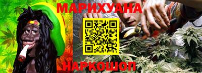 шишки Вышний Волочёк