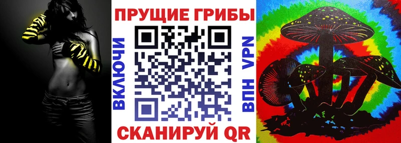 что такое наркотик  Киржач  Галлюциногенные грибы Cubensis 