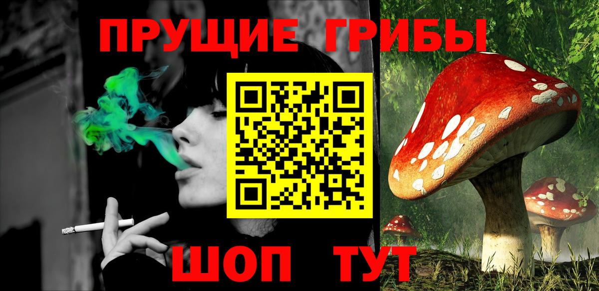 Псилоцибиновые грибы GOLDEN TEACHER Киржач