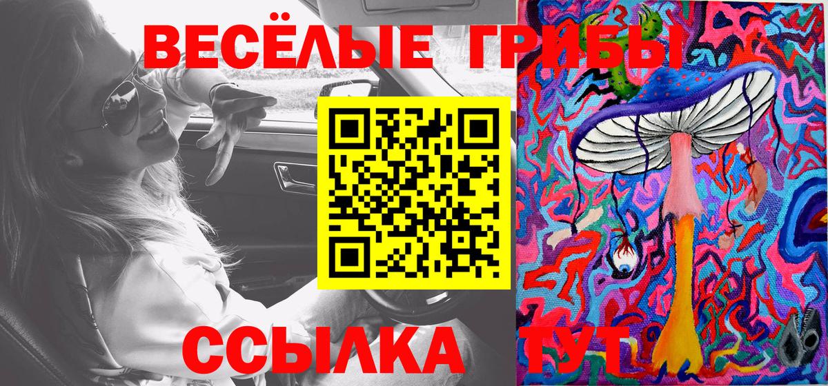 Киржач  Псилоцибиновые грибы ЛСД  Вход с VPN  Галлюциногенные грибы мицелий 
