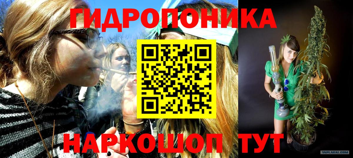 Бошки Шишки планчик Киржач